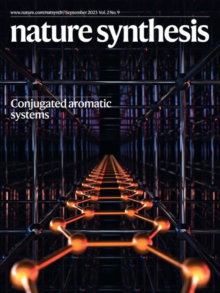 Nature Synthesis誌Front cover